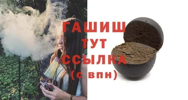 индика Вяземский